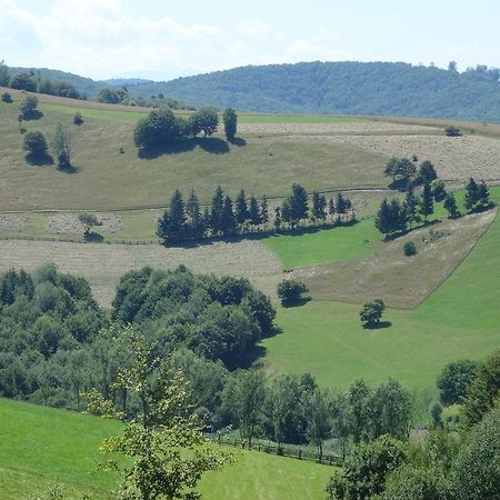 Pensiunea Margareta Sita Buzaului Exterior foto