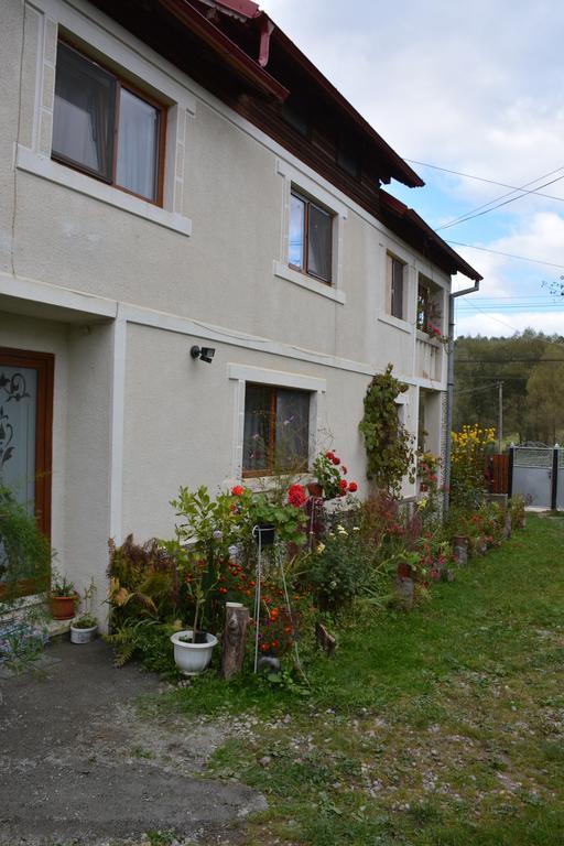 Pensiunea Margareta Sita Buzaului Exterior foto